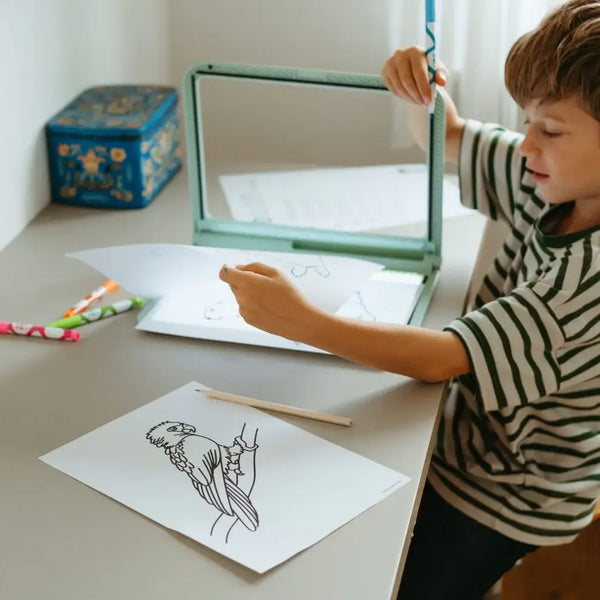 Leuchttafel zum Schreiben und Zeichnen Kidydraw Pro