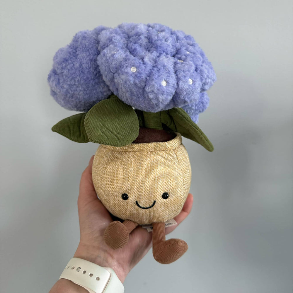 Amuseable Hortensie (24 cm)