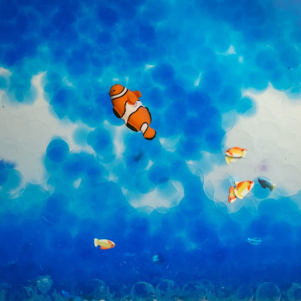 Beobachtungsflasche Fische Kinder mit bunten Fischen in blauer Flüssigkeit für interaktive Spielzeit