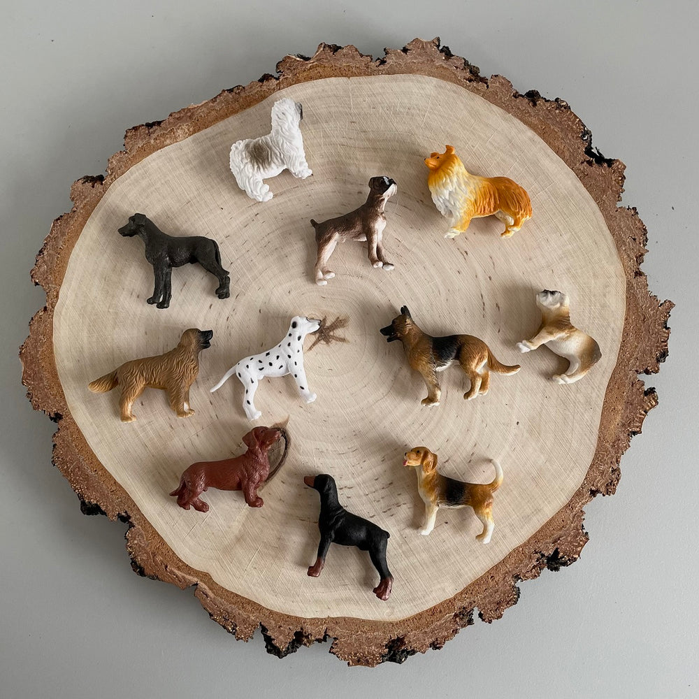 Hunde Spielfiguren Set von Safari Ltd mit 10 detailreichen Hundefiguren in verschiedenen Rassen