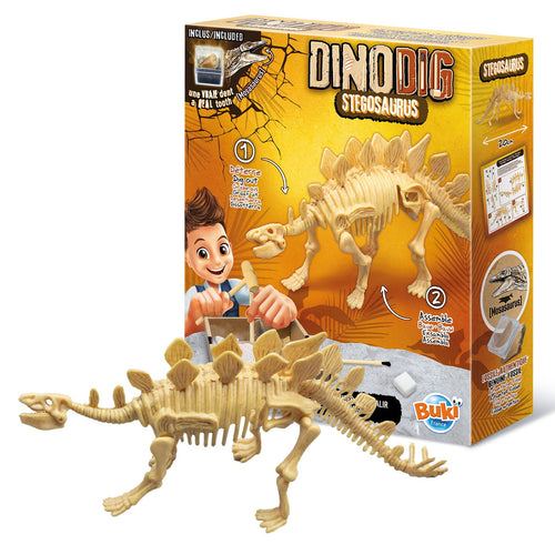 Kleiner Paläontologe - Stegosaurus - Tublu.de