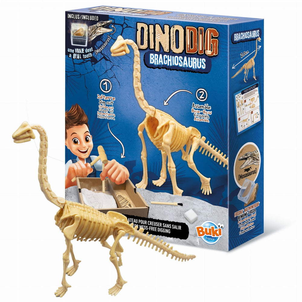 Kleiner Paläontologe - Brachiosaurus - Tublu.de