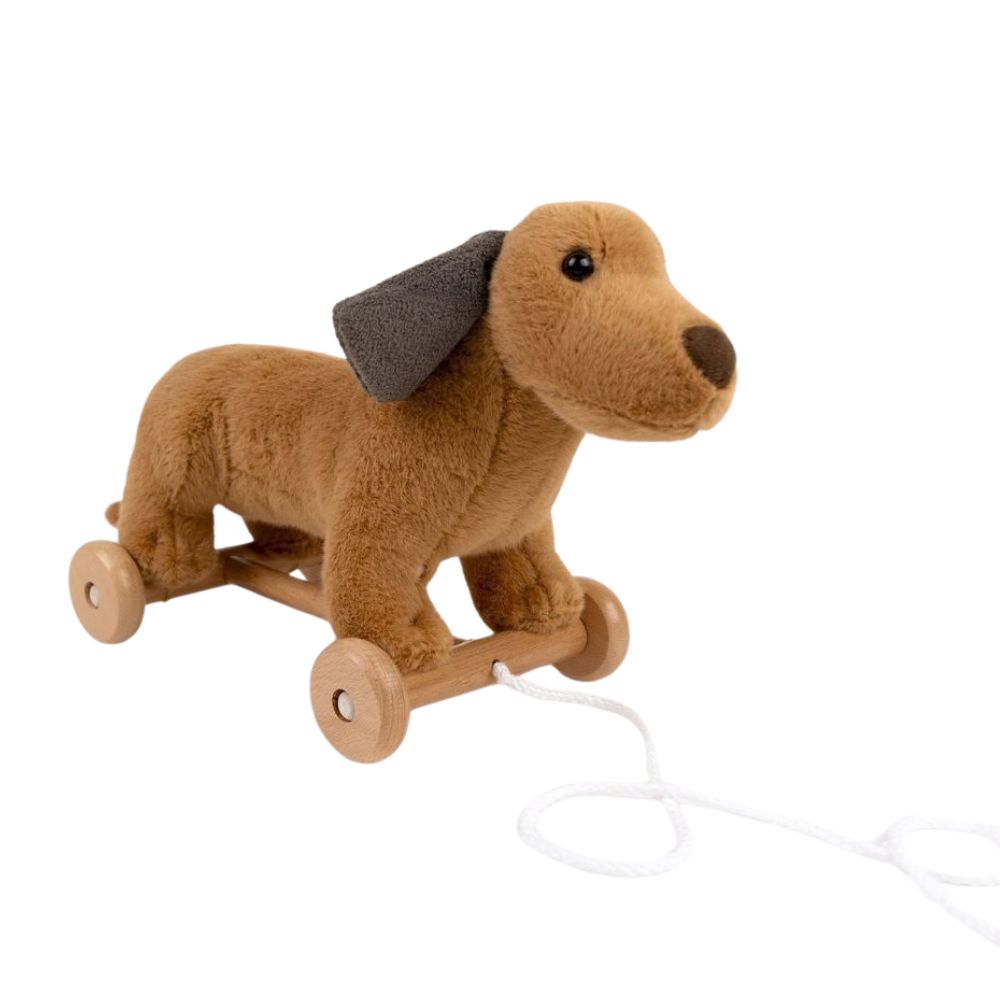 Nachziehspielzeug - Plüschhund Edward auf Holzrädern