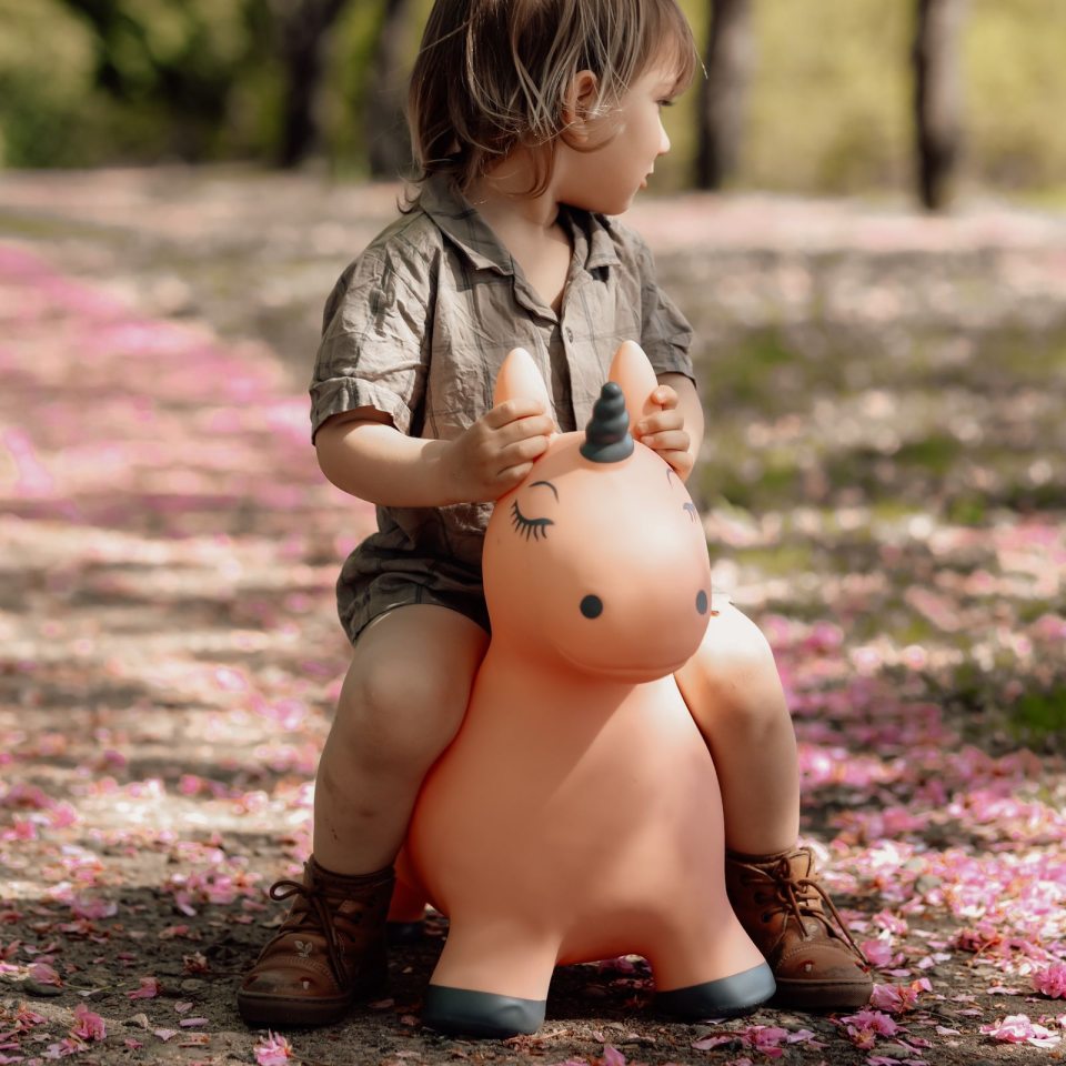 Springer – Einhorn - Tublu.de