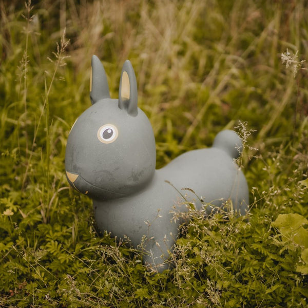 Springer – Hase - Tublu.de